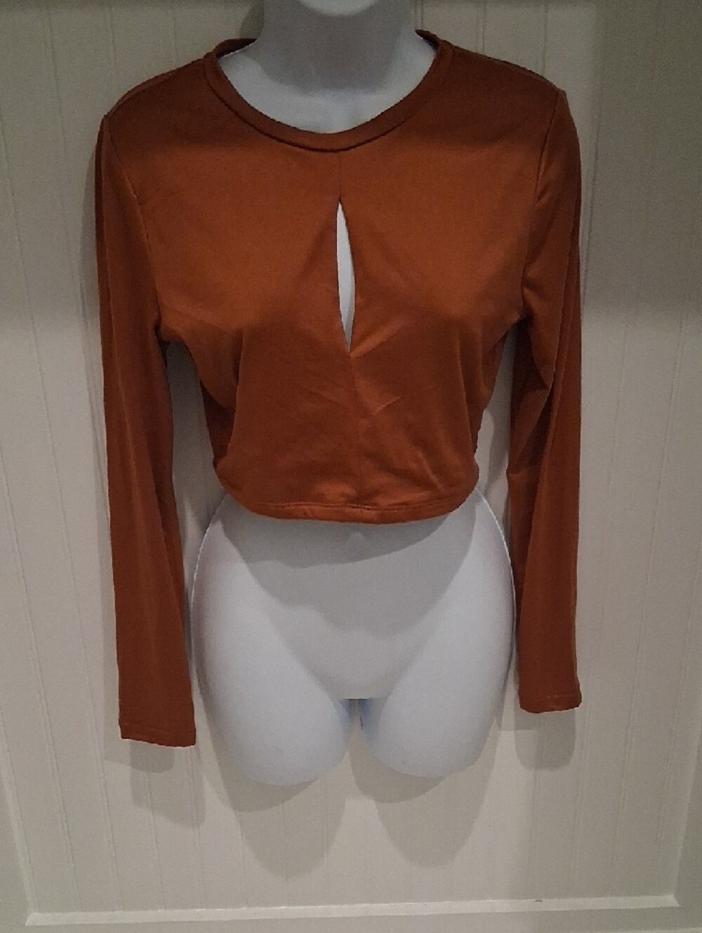 Rust Crop Long-Sleeve Top with Front Slit